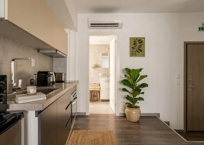Luxury Apartments In The Heart Of The City